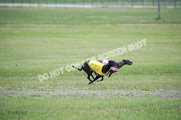 B Prelim Buck Dave-1273