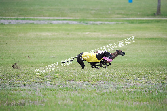 B Prelim Buck Dave-1267