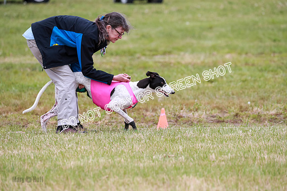 D Final Open Bodhi Apple-3148