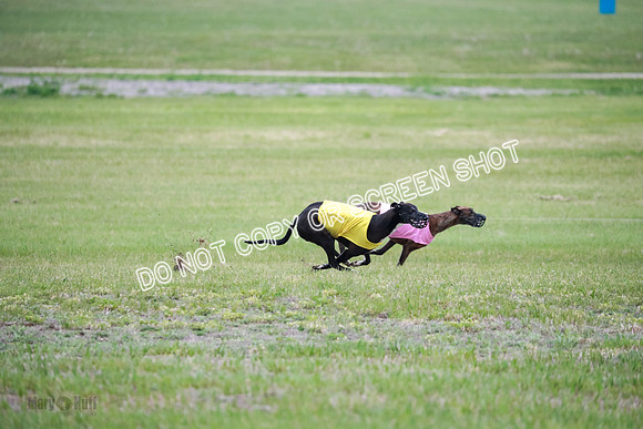 B Prelim Buck Dave-1266
