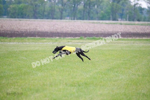 B Prelim Buck Dave-1304