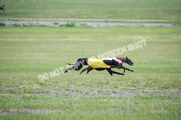 B Prelim Buck Dave-1264