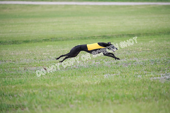 C Prelim Vet Fergie-1371