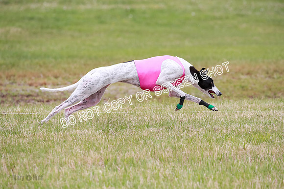 D Final Open Bodhi Apple-3162