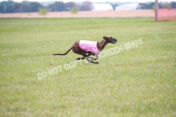 B Prelim Buck Dave-1259