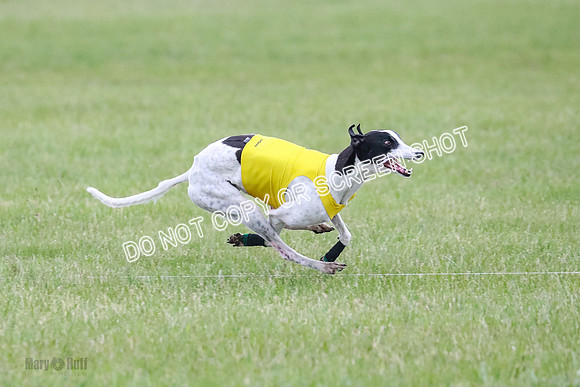 A Prelim Open Apple Bodhi Legs-1168