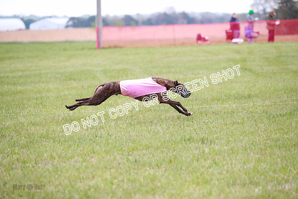 B Prelim Buck Dave-1261