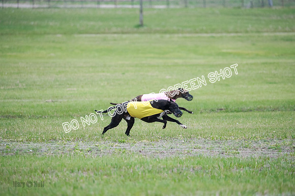 B Prelim Buck Dave-1275