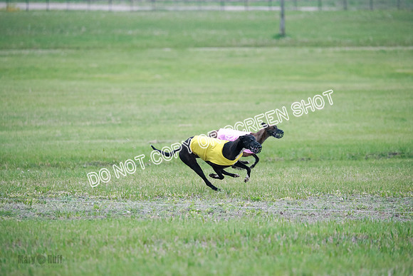 B Prelim Buck Dave-1274