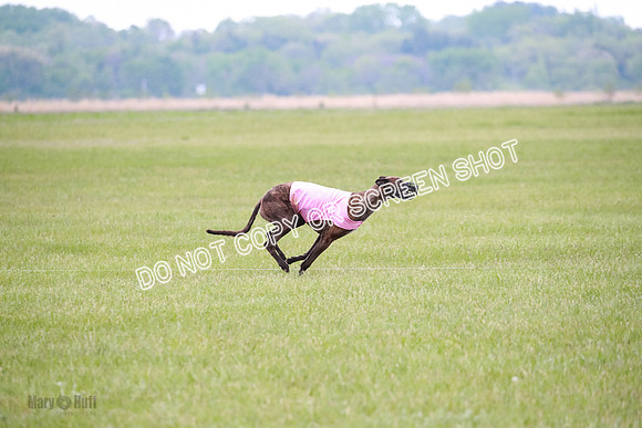 B Prelim Buck Dave-1248