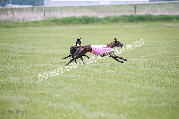 B Prelim Buck Dave-1300