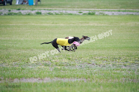 B Prelim Buck Dave-1262
