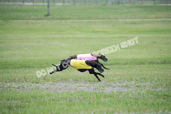 B Prelim Buck Dave-1276