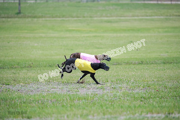 B Prelim Buck Dave-1277