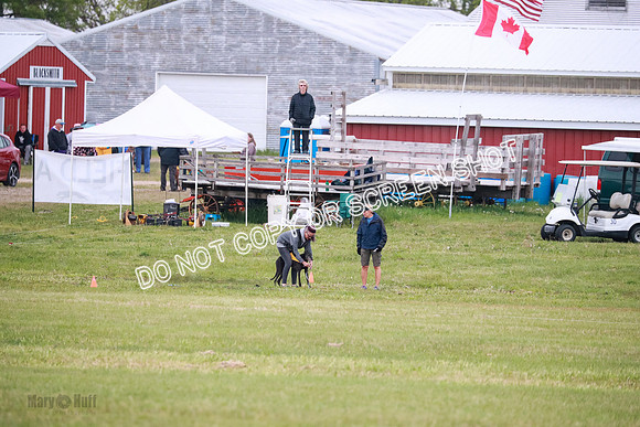 C Prelim Vet Fergie-1313