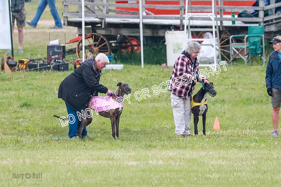 B Prelim Buck Dave-1203