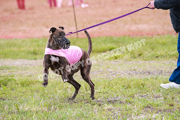 E Final Fch Buck Dave-3224