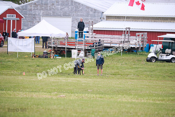 C Prelim Vet Fergie-1314