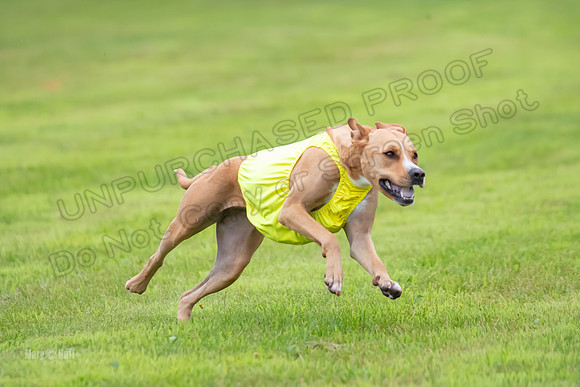 Prelims Zara-0826