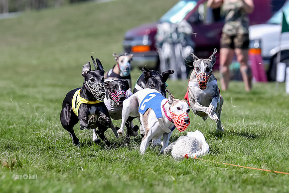 AE4I5223