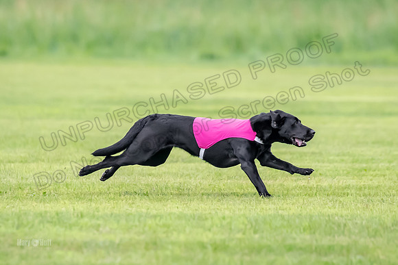 Prelims Rowan-0843