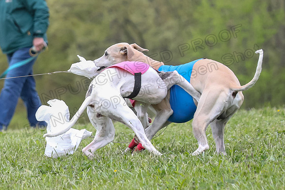 Finals Vets 2, Dora Nellie Akela-2297