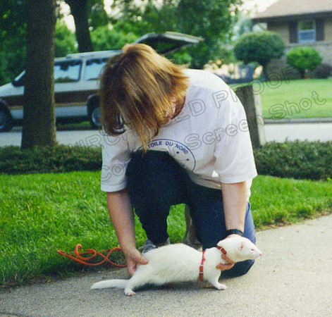 1995 Mary Beth Arthur & Ferret