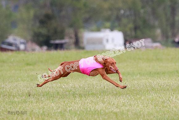 B Prelim Fch 1 Lucy Cayper Copper-2065