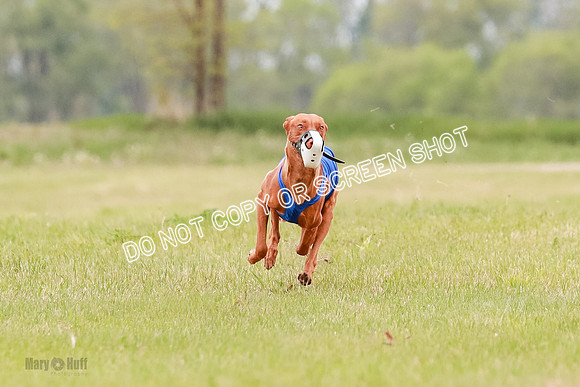 E Final Fch 1 Pecious, Lucy, Copper-4083