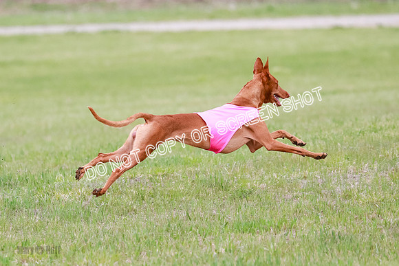 B Prelim Fch 1 Lucy Cayper Copper-2117