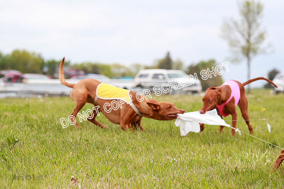 E Final Fch 1 Pecious, Lucy, Copper-4134