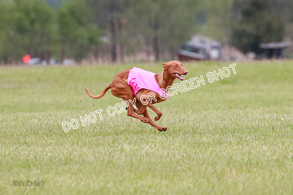 B Prelim Fch 1 Lucy Cayper Copper-2063