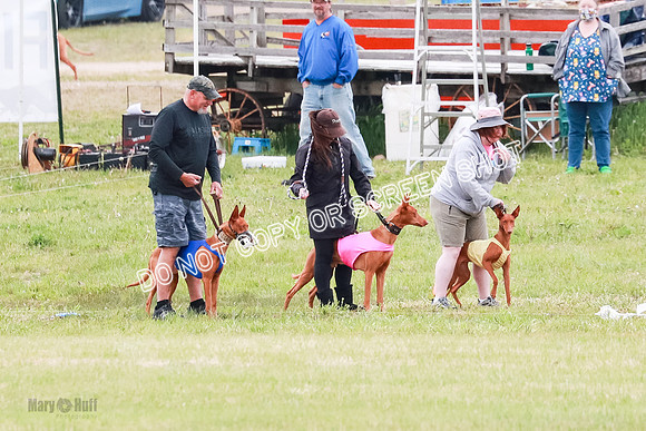 B Prelim Fch 1 Lucy Cayper Copper-2039