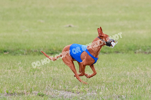 B Prelim Fch 1 Lucy Cayper Copper-2046