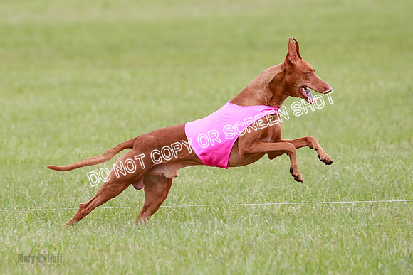 B Prelim Fch 1 Lucy Cayper Copper-2085