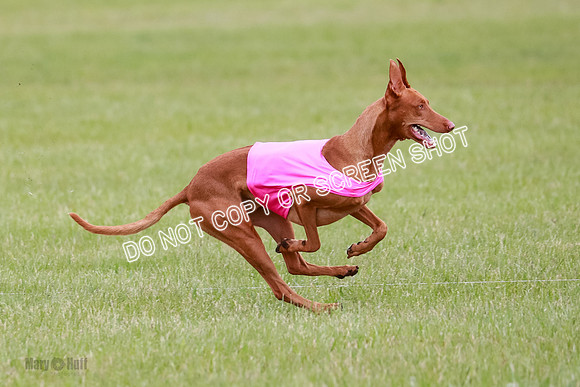 B Prelim Fch 1 Lucy Cayper Copper-2084