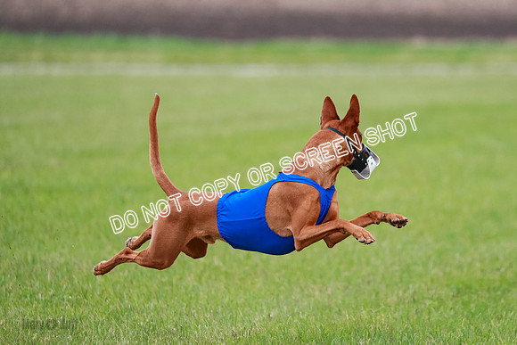 B Prelim Fch 1 Lucy Cayper Copper-2051