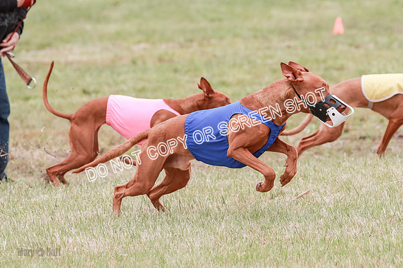 E Final Fch 1 Pecious, Lucy, Copper-4073