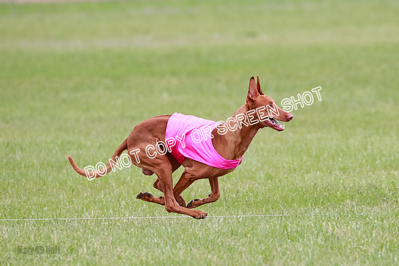 B Prelim Fch 1 Lucy Cayper Copper-2078