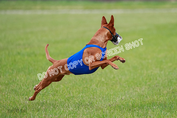 B Prelim Fch 1 Lucy Cayper Copper-2050