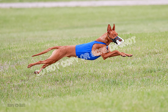 B Prelim Fch 1 Lucy Cayper Copper-2109