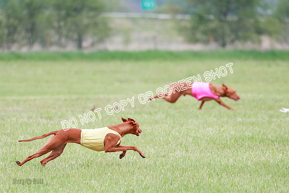 B Prelim Fch 1 Lucy Cayper Copper-2057
