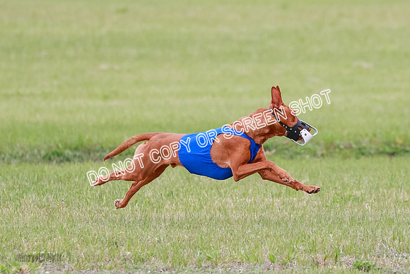 B Prelim Fch 1 Lucy Cayper Copper-2043