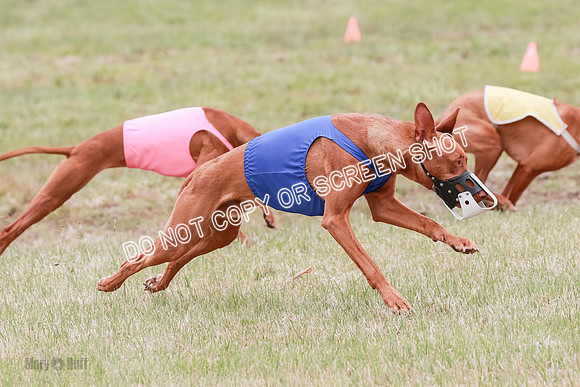 E Final Fch 1 Pecious, Lucy, Copper-4074