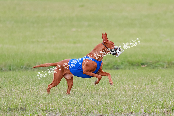 B Prelim Fch 1 Lucy Cayper Copper-2042