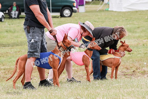 E Final Fch 1 Pecious, Lucy, Copper-4061