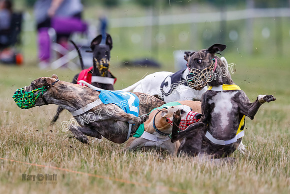 Prg 3, Race 5, Sid-Alex-Zed-Fama-Talim-1185