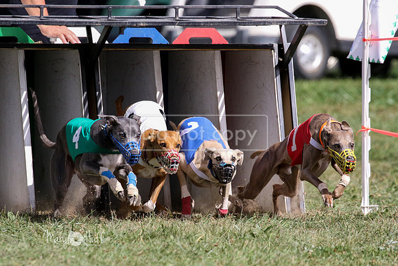 MCH74792  Beastie Boy, Cy'Ber, Aurora, Quigly