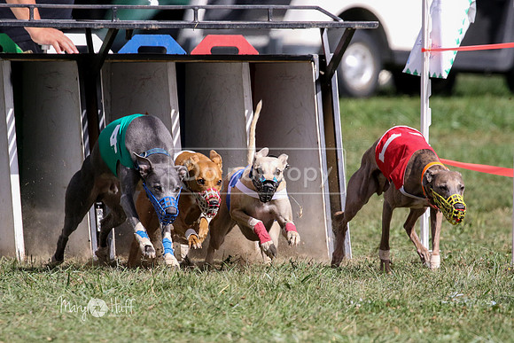 MCH74793  Beastie Boy, Cy'Ber, Aurora, Quigly
