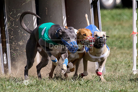 MCH74795  Beastie Boy, Cy'Ber, Aurora, Quigly
